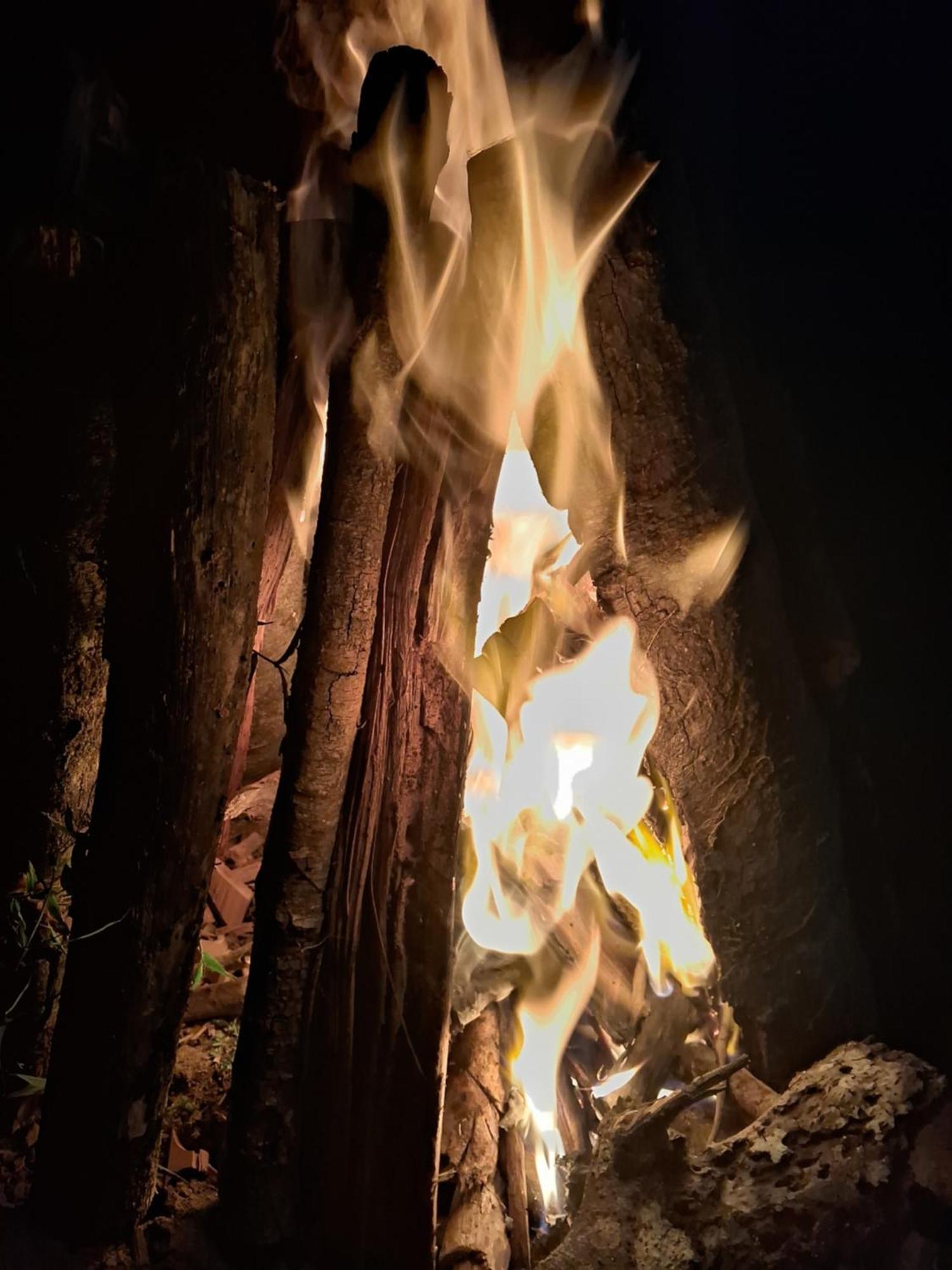 Coorg Teakwood Treasure Homestay 마디케리 외부 사진