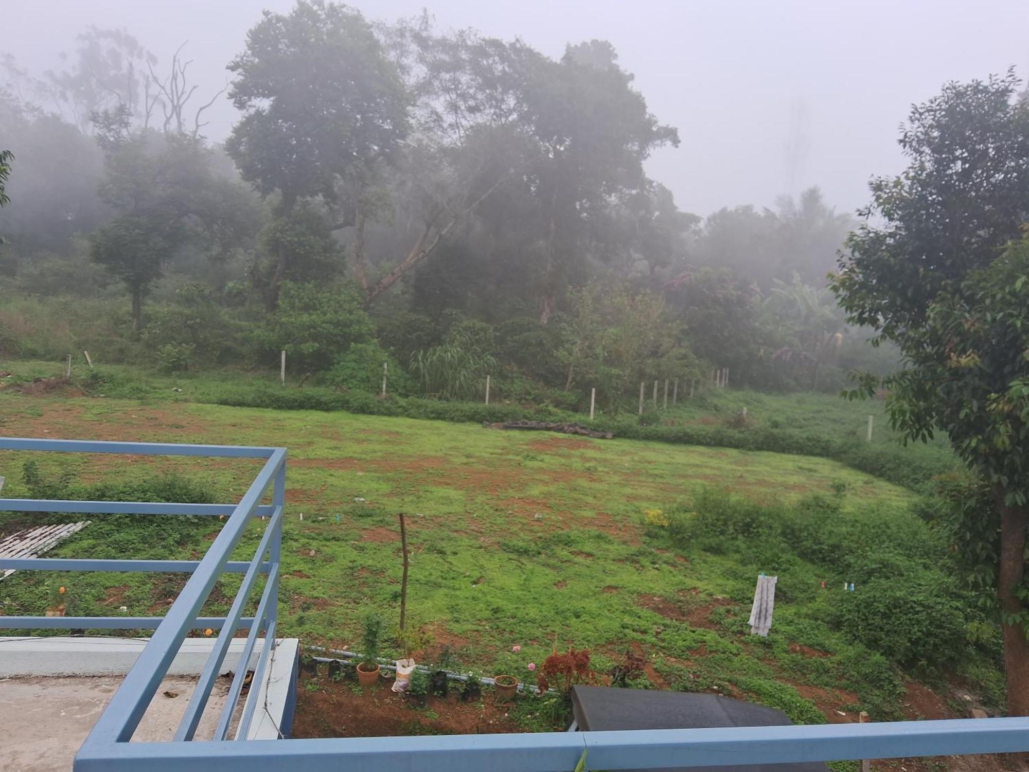 Coorg Teakwood Treasure Homestay 마디케리 외부 사진