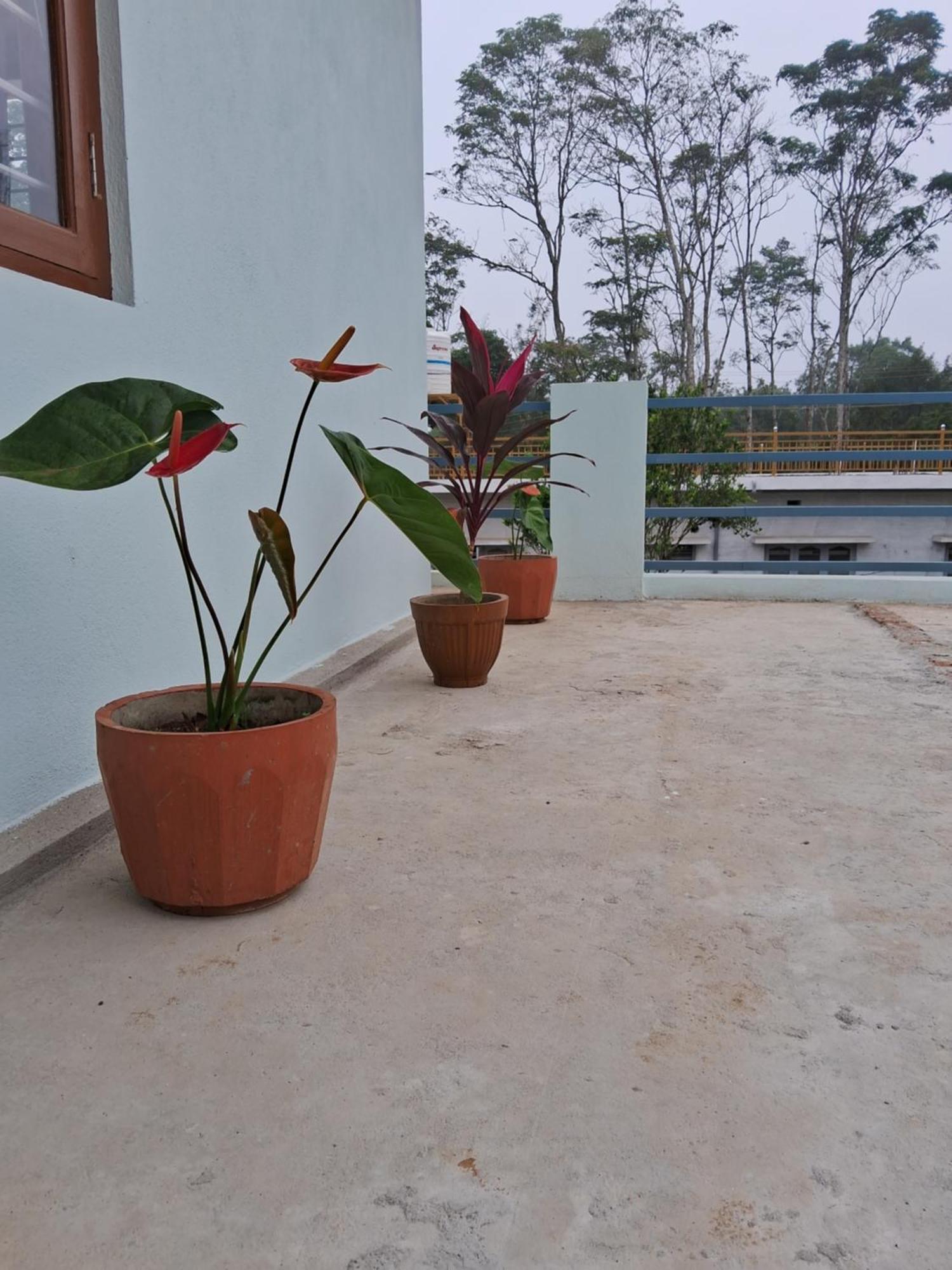 Coorg Teakwood Treasure Homestay 마디케리 외부 사진
